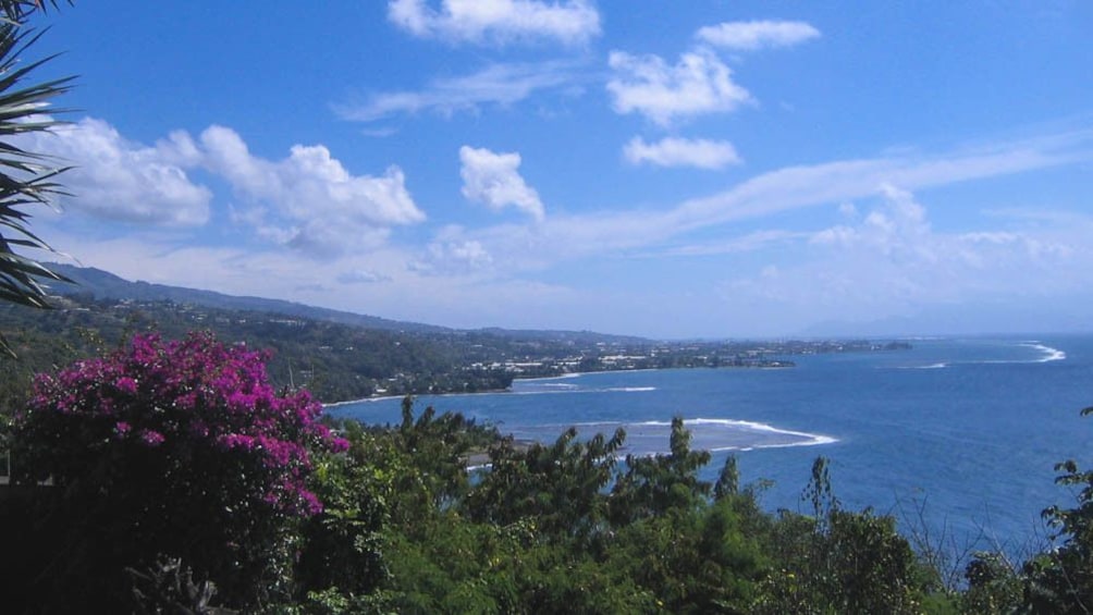 Landscape view of island from elevated area.