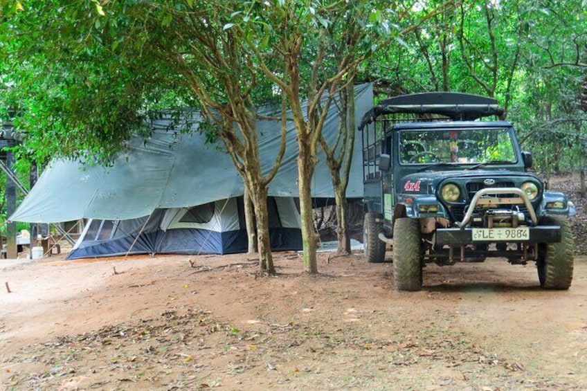 One Night Camping in Wasgamuwa National Park