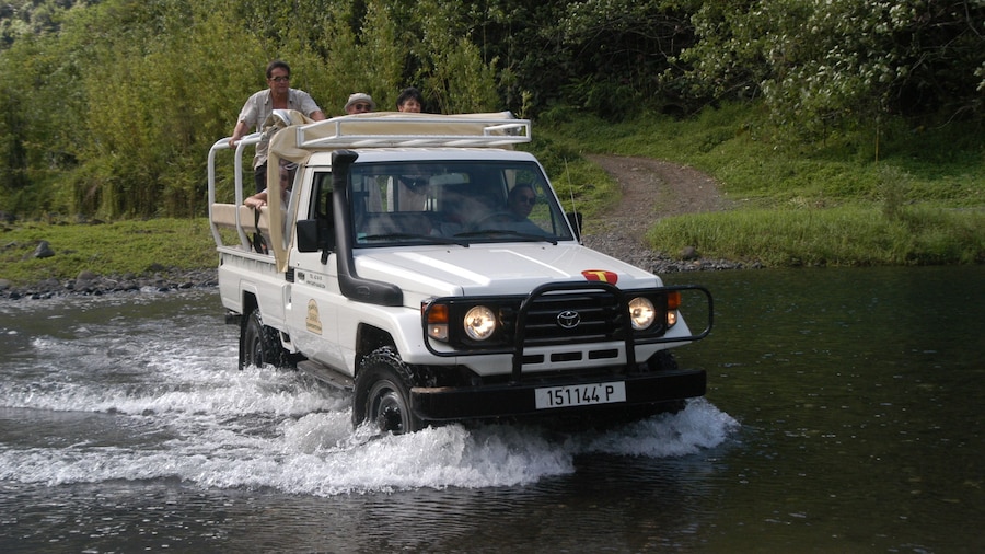 4-Wheel-Drive Mountain Safari Full-Day Tour
