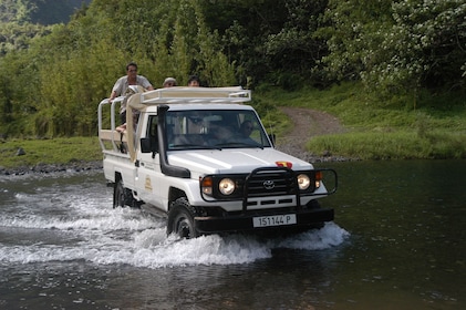 TAHITI 4-Wheel-Drive Mountain Safari Full-Day Tour