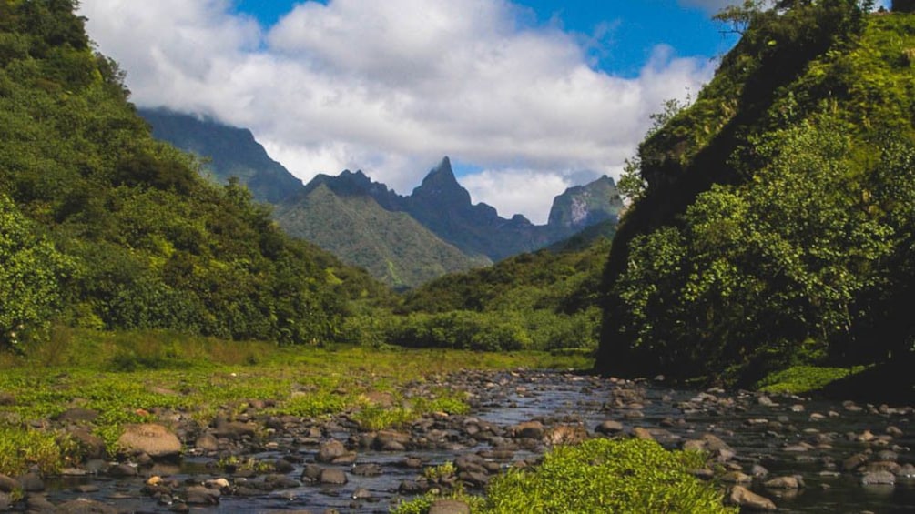 Landscape view of grassy mountains and hills during the day.