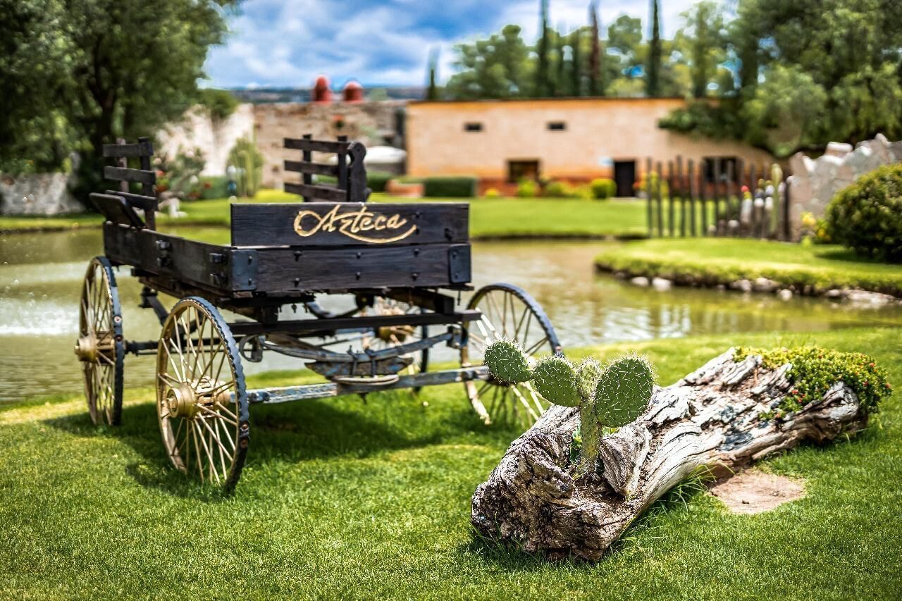 Wine & Culture Tour: Viñedos Azteca and Tepotzotlán