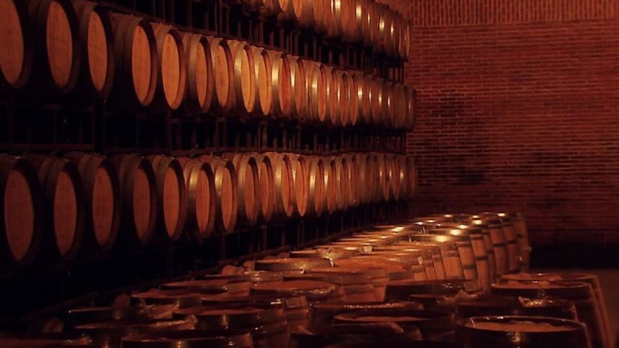 Fill up energy in Bernal, Freixenet And Tequisquiapan