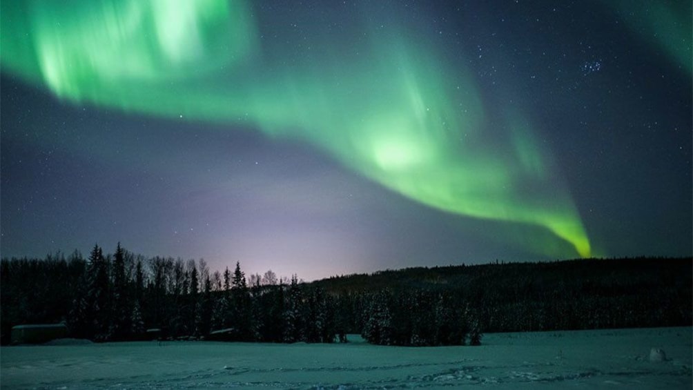 Northern lights in the night sky over Fairbanks