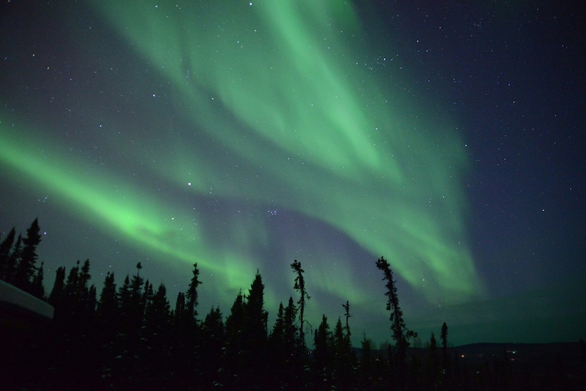 Northern Lights & Arctic Circle Winter Excursion