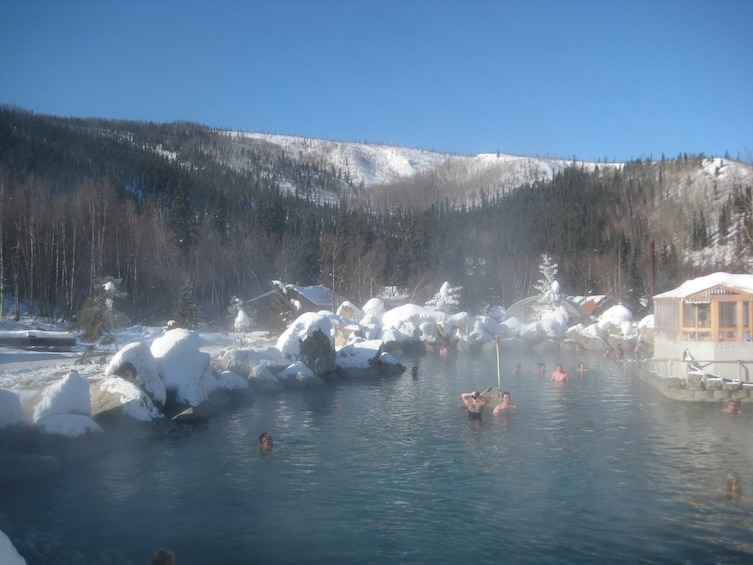 Northern Lights & Chena Hot Springs Winter Tour