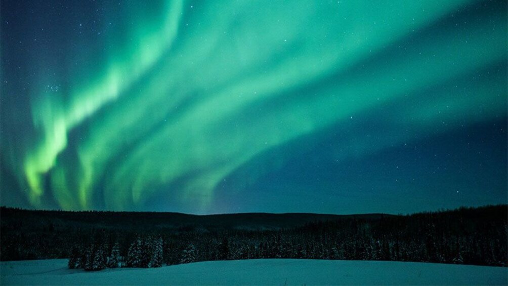Layers of Northern Lights in sky over Fairbanks