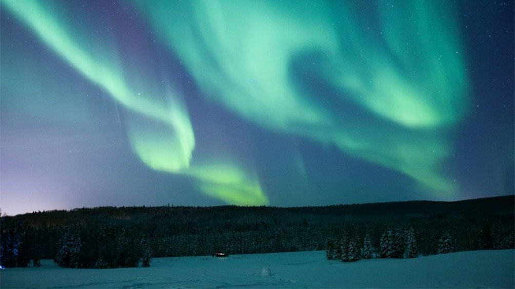 Northern lights in the night sky over Fairbanks