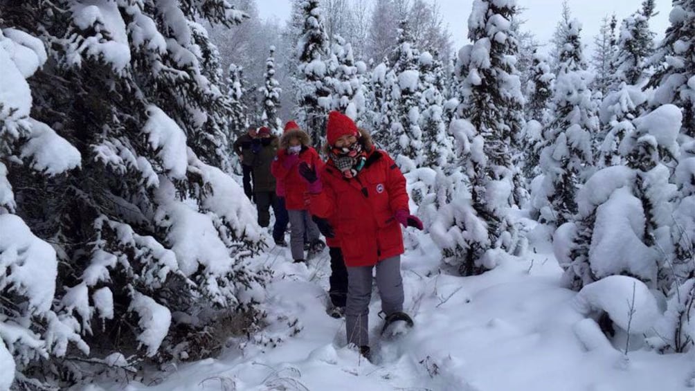 Snowshoeing group in Fairbanks