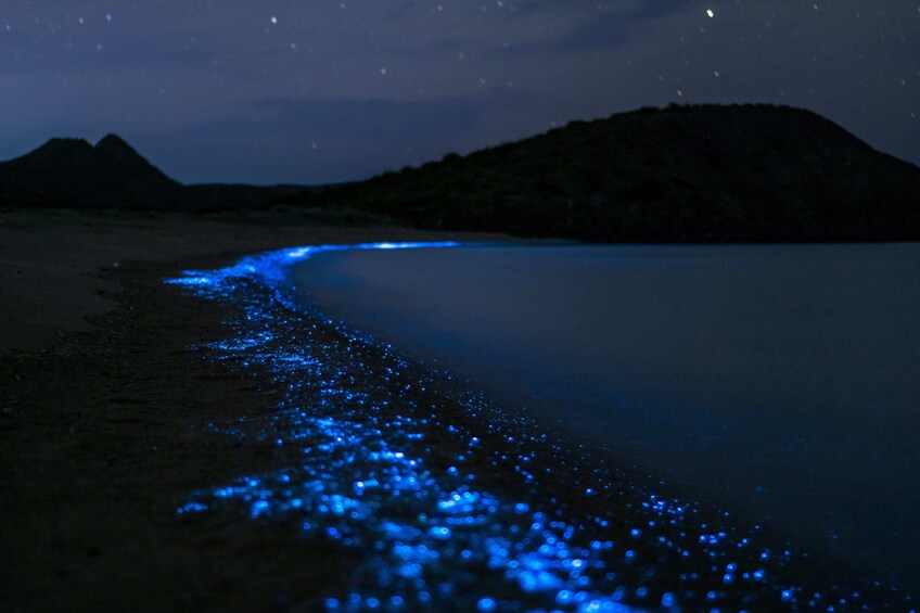 Bioluminicence from Puerto Escondido