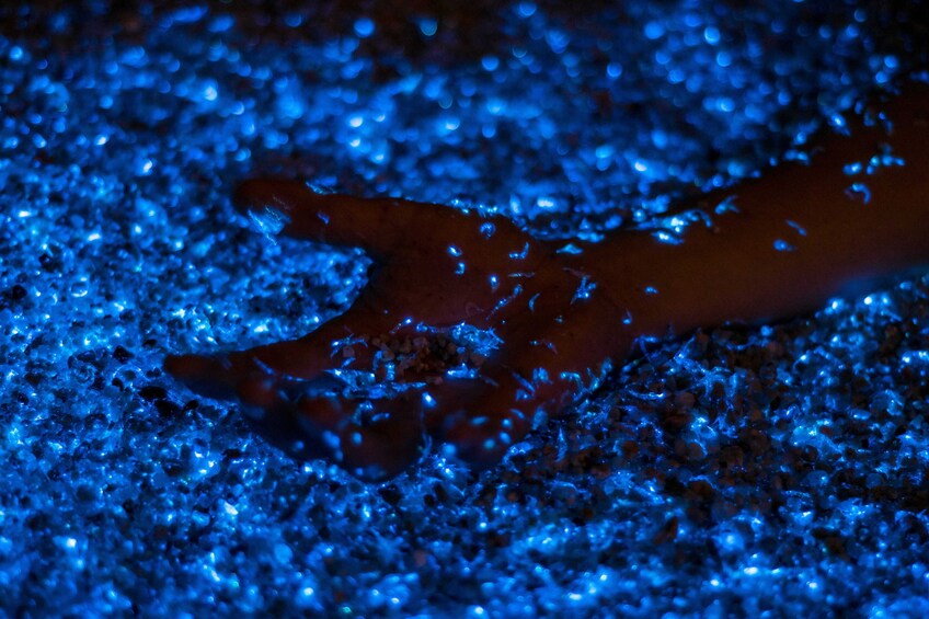 Bioluminicence from Puerto Escondido