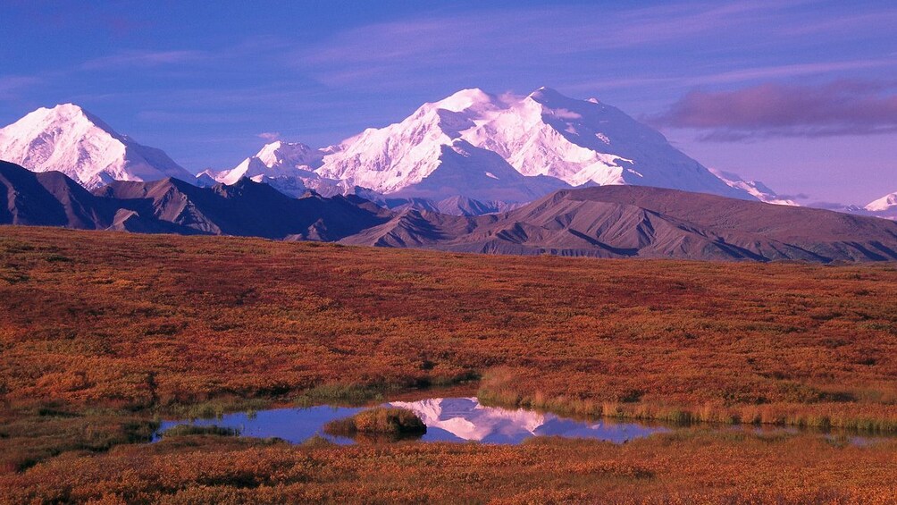 Mount McKinley