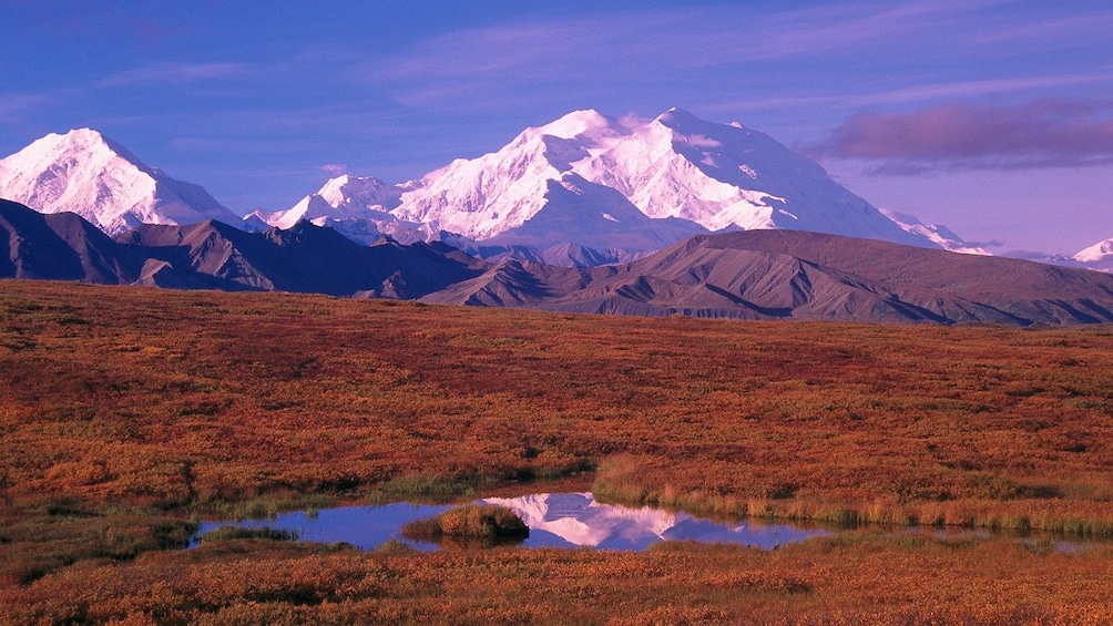 Mount McKinley