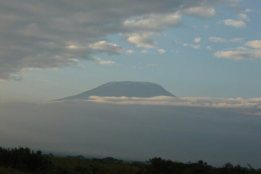 The majestic snow capped Mpunt Kilimanjaro in Amboseli N/P.
