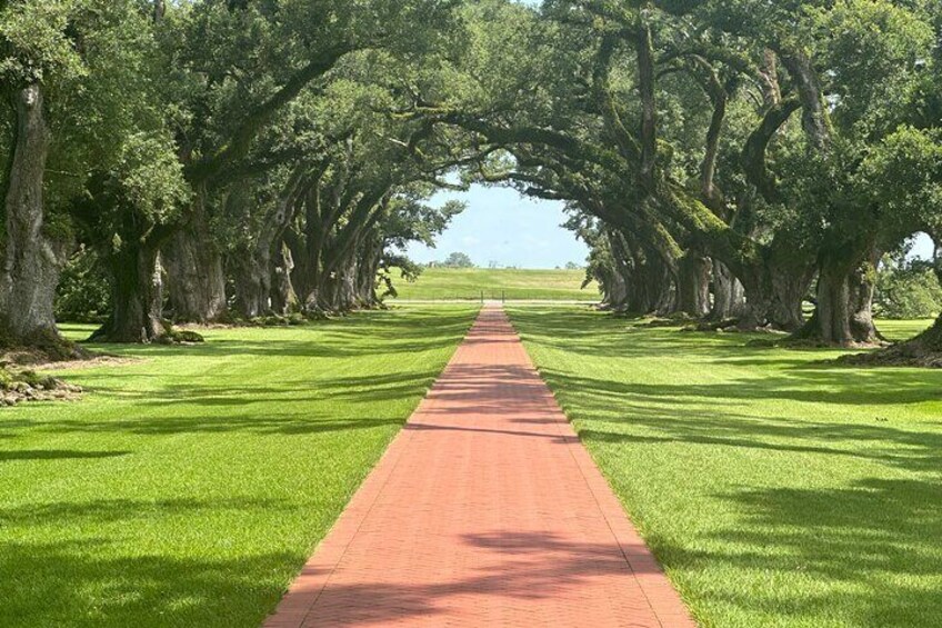 "Exclusive Journey Through Louisiana's Historic Plantations"