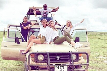 Selous/Nyerere national park and Mikumi national park game drive, masai,wal...