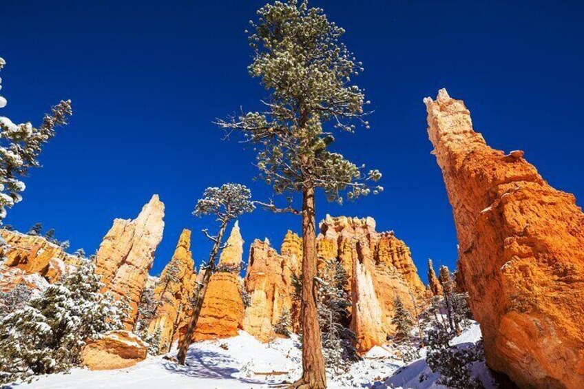 Bryce Canyon National Park Self-Driving Audio Tour