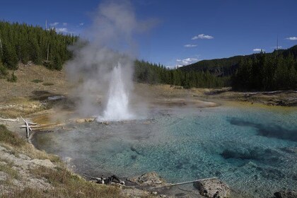 yellowstone expedia