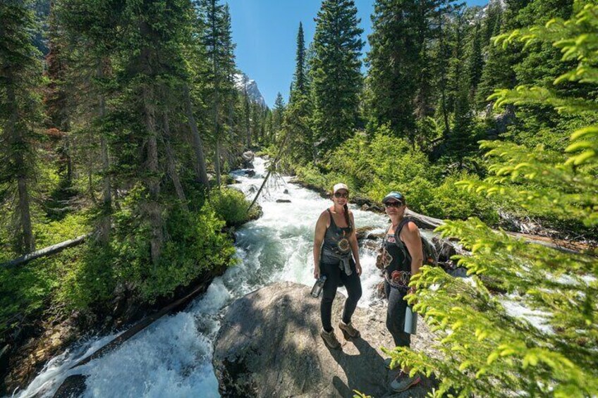 Full-Day Private Tour in Yellowstone National Park