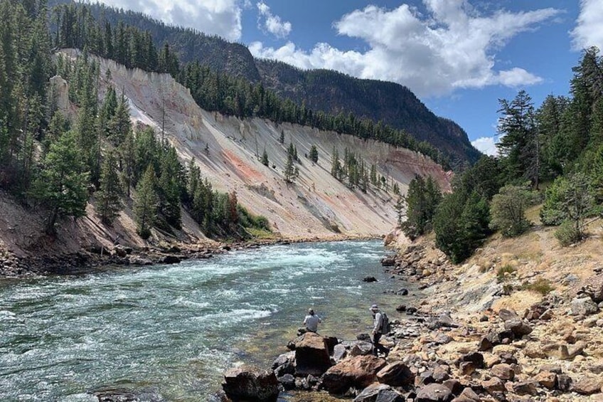 Full-Day Private Tour in Yellowstone National Park