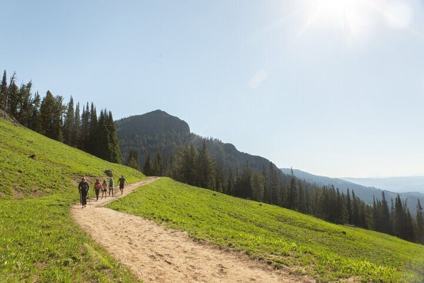 Yellowstone Full Day Private Tour