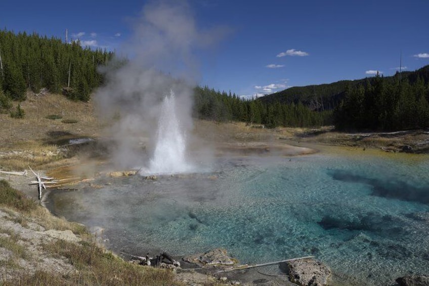 Full-Day Private Tour in Yellowstone National Park