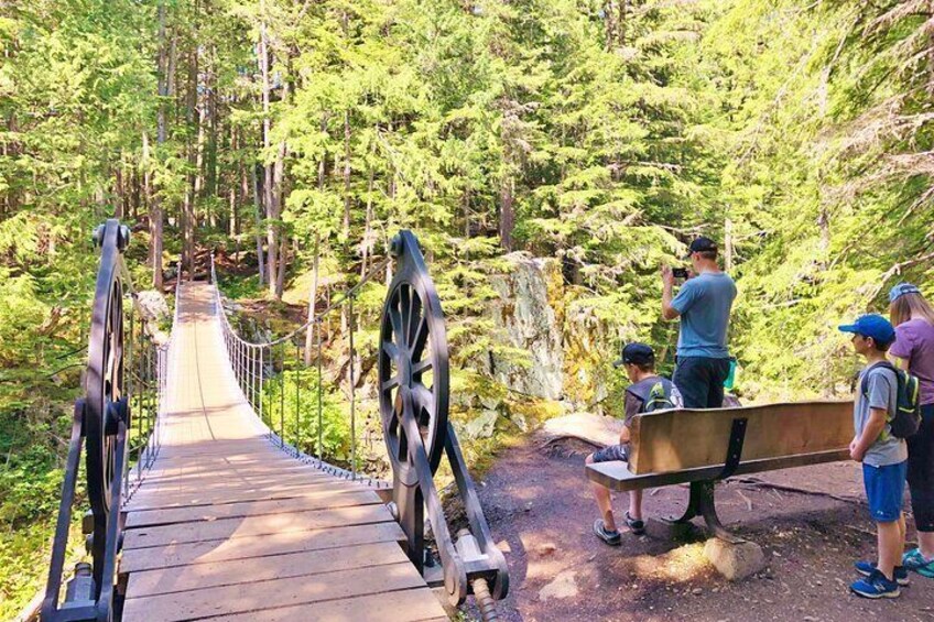 The Cheakamus Suspension Bridge