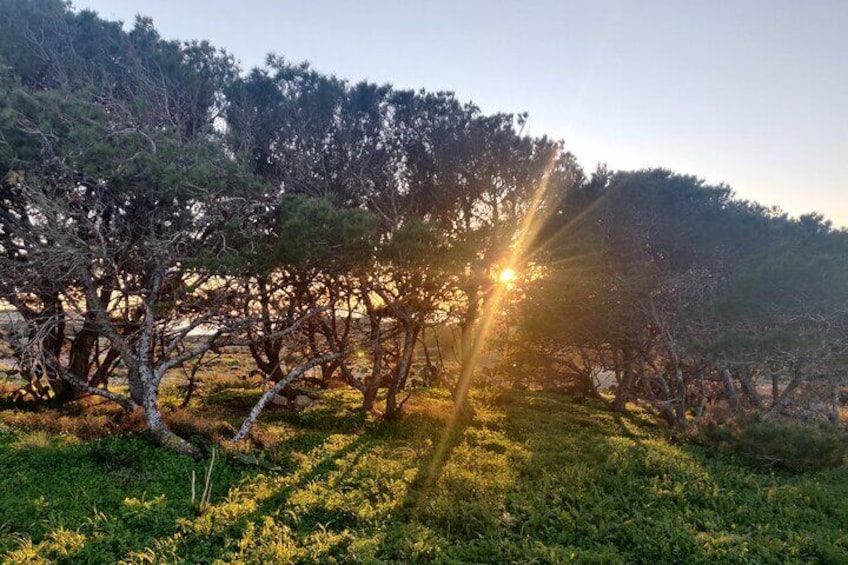 Bahrija Countryside