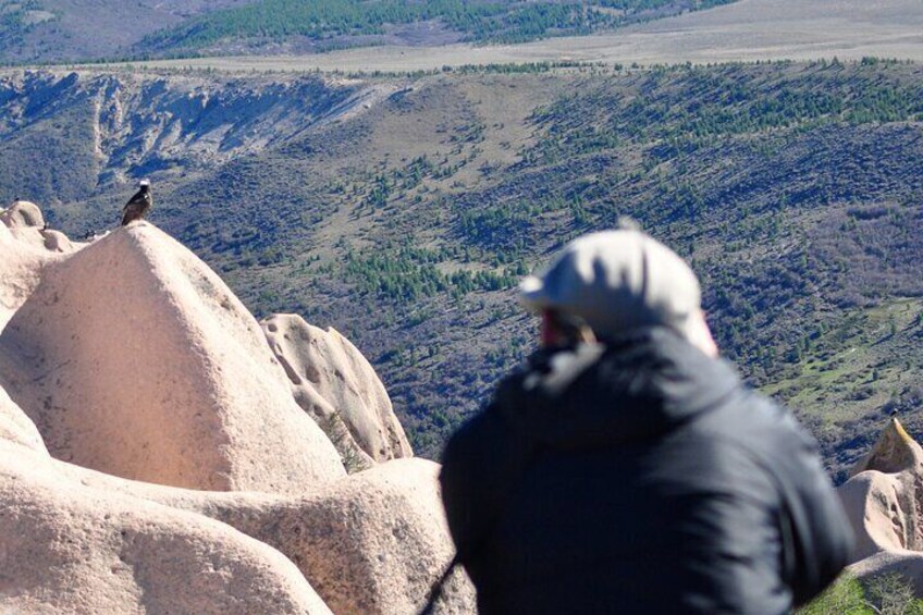 Photo Discovering Condors & Birdwatching - Full Day Tour in Private Service