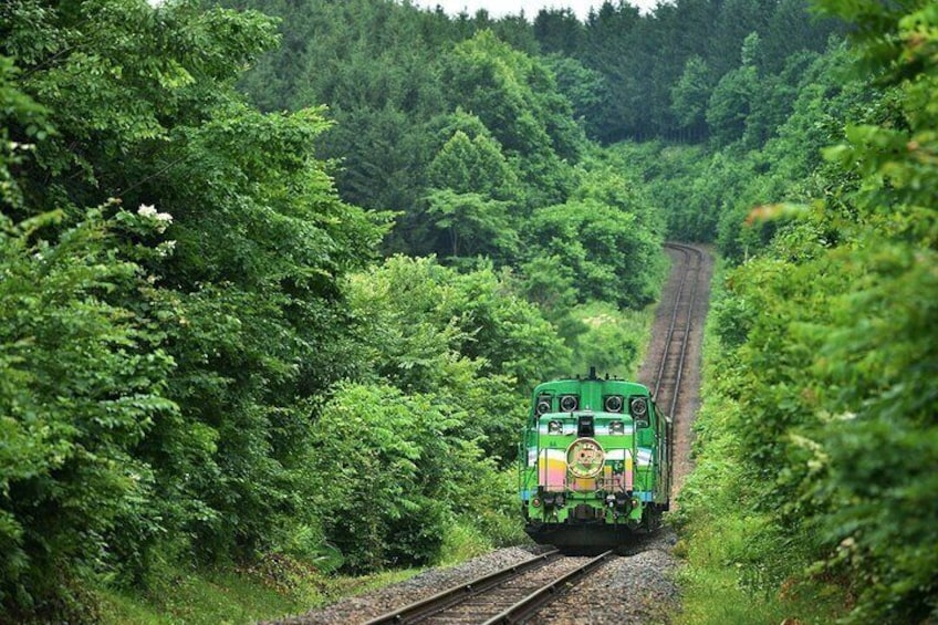Furano/Biei Private Taxi Half-Day Tour with English Driver