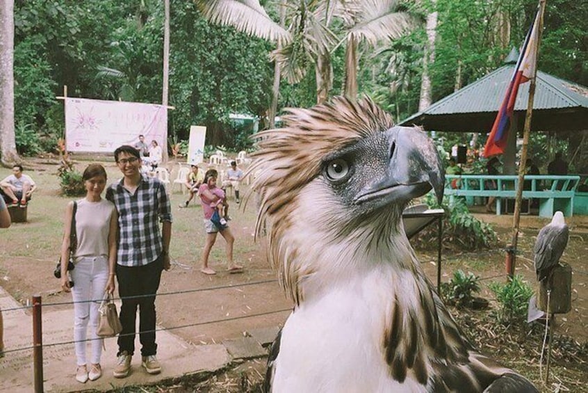 Show item 4 of 5. Davao City Tour W/ Philippine Eagle