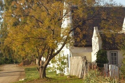 Old McGregor: Meander down its quiet and dusty memory lanes on an audio tou...