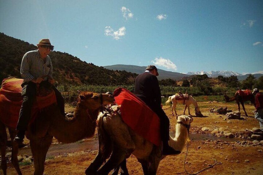 Marrakech: Atlas Mountains, & 5 Valleys Full Day Tour 