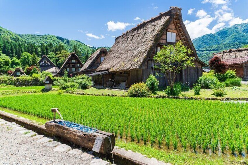 Shirakawago Day Trip: Government Licensed Guide & Vehicle from Kanazawa