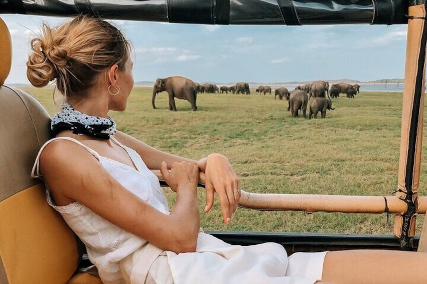 Kandy to Trincomalee Shuttle & Safari Drive