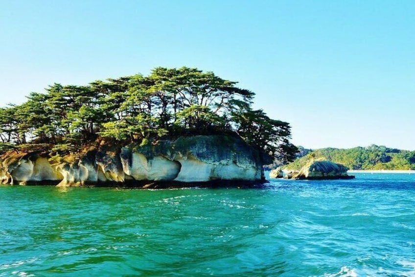 Sendai / Matsushima Half-Day Private Tour with Nationally-Licensed Guide