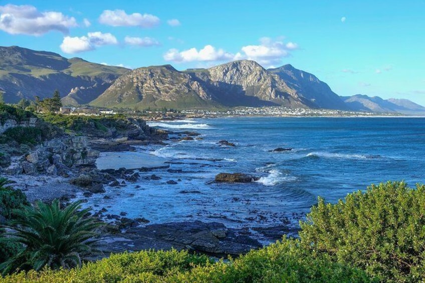 4 Day Garden Route Private Tour from Cape Town