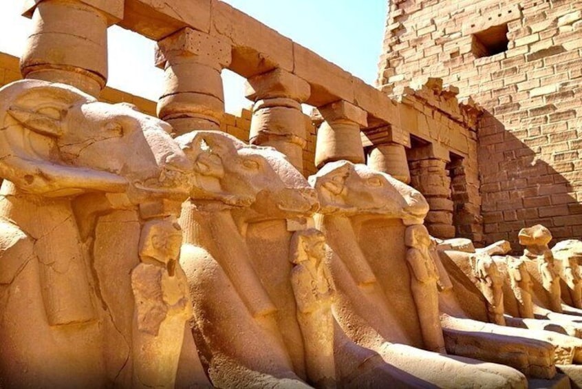 4 Nights Cruise Luxor, Aswan, Abu simbel, Balloon,and Tours By Bus From Hurghada