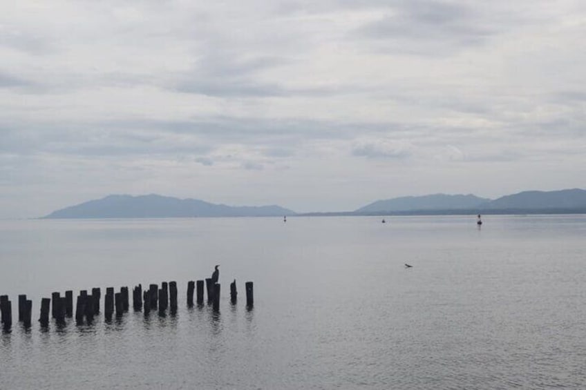 Matsue/Izumo Taisha Shrine Full-Day Private Trip with Nationally-Licensed Guide