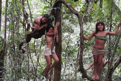 4-Days Private Huaorani Amazon Adventure