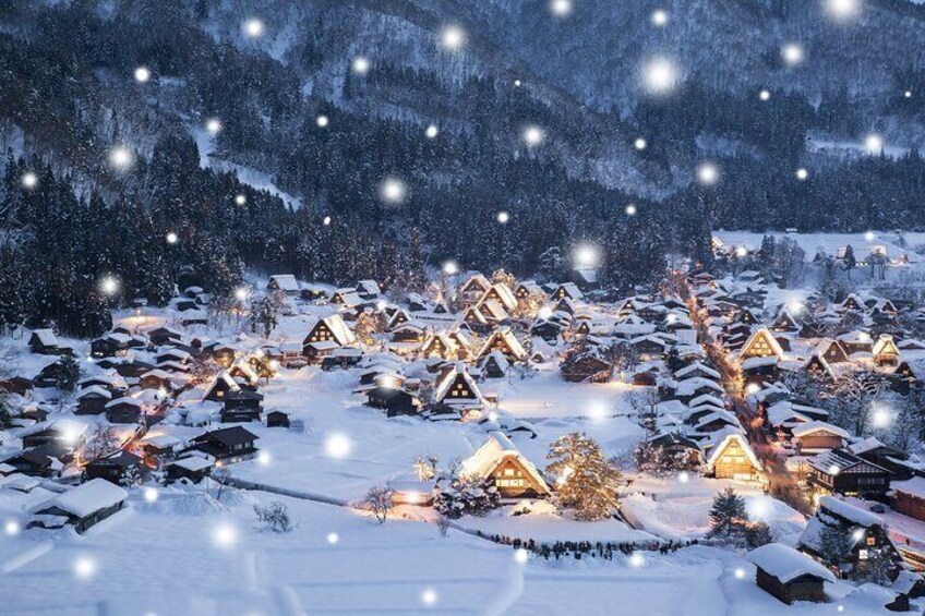 Shirakawago Day Trip: Government Licensed Guide & Vehicle from Takayama