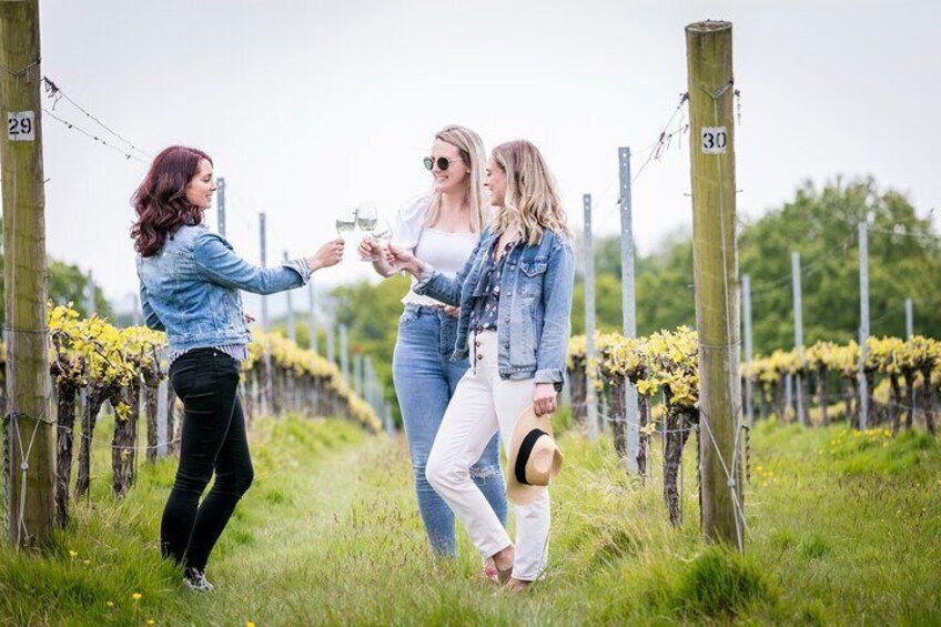 Wine Tours of Kent Private group booking