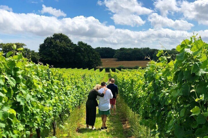 Wine Tours of Kent Private group booking