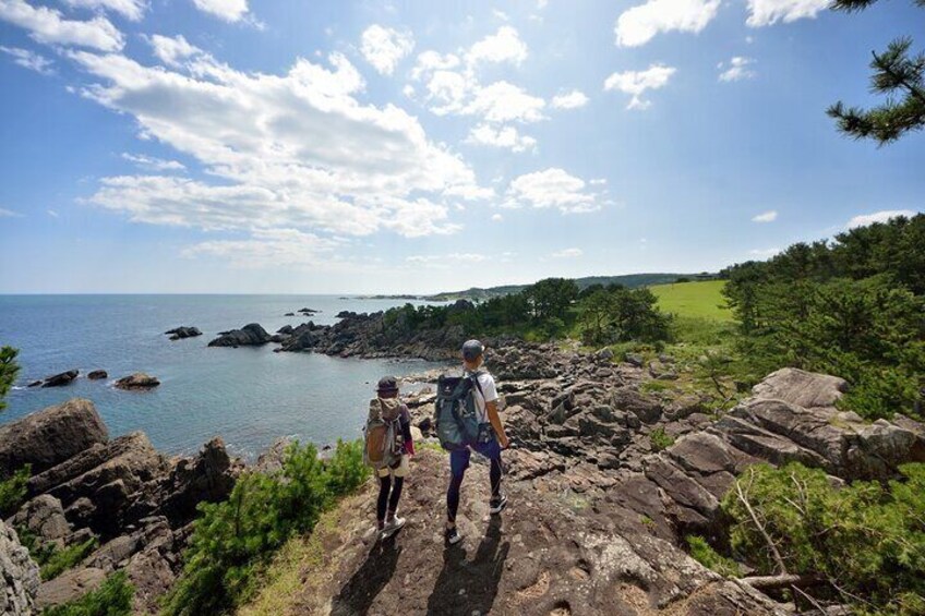 Hachinohe Half-Day Private Trip with Nationally-Licensed Guide