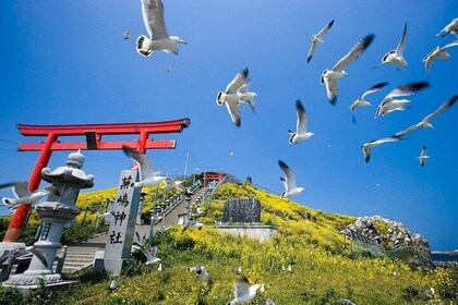 Hachinohe Full-Day Private Trip with Government-Licensed Guide