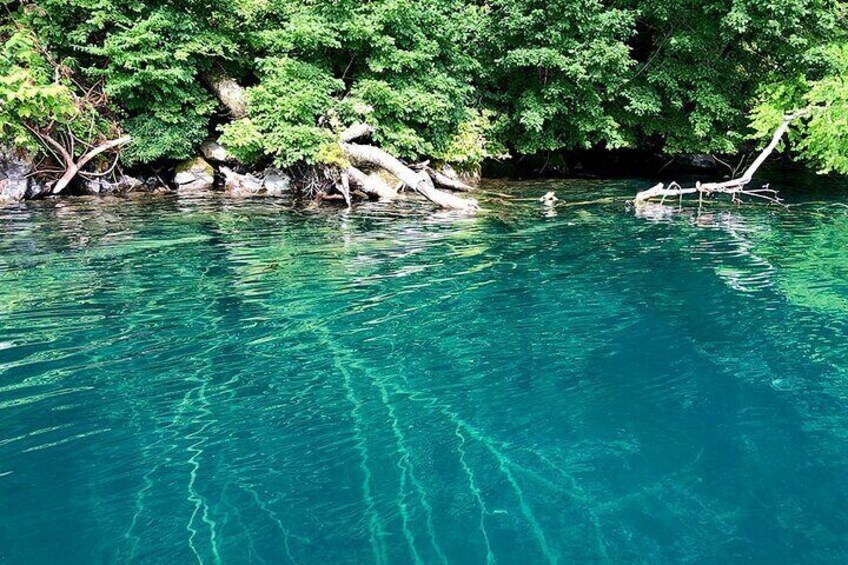 Oirase Gorge and Lake Towada Day Hike with Government-Licensed Guide