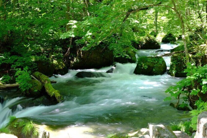 Show item 1 of 6. Oirase Gorge and Lake Towada Day Hike with Government-Licensed Guide