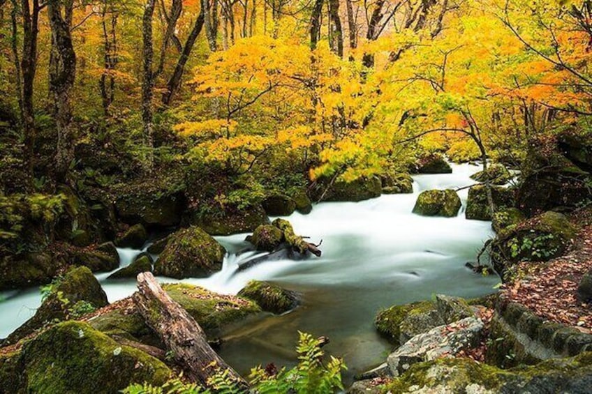 Show item 2 of 6. Oirase Gorge and Lake Towada Day Hike with Government-Licensed Guide