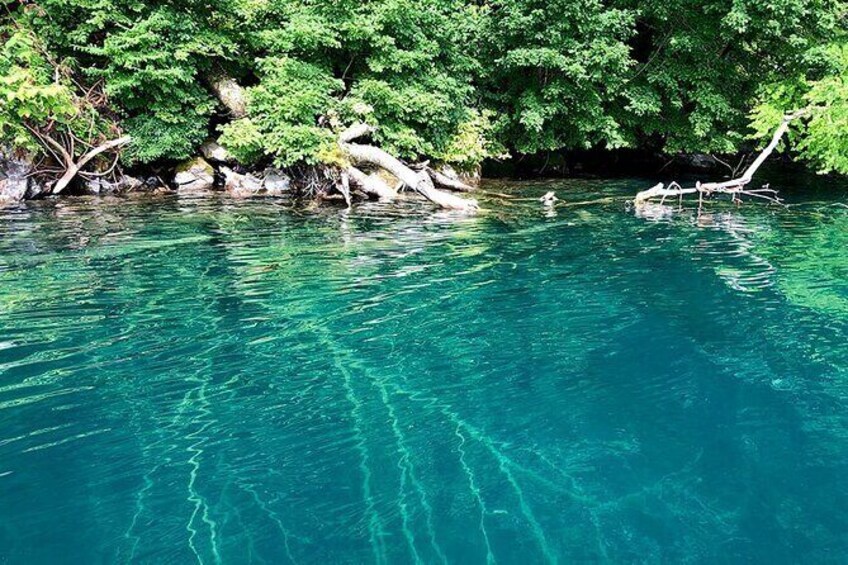Show item 4 of 6. Oirase Gorge and Lake Towada Day Hike with Government-Licensed Guide