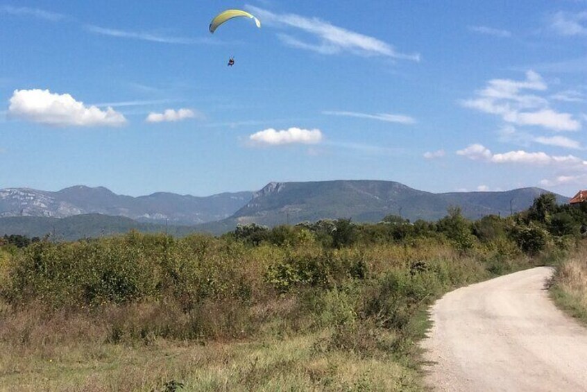 Paragliding Experience